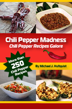 Holiday Discount - 25% Off the Print or E-Book!