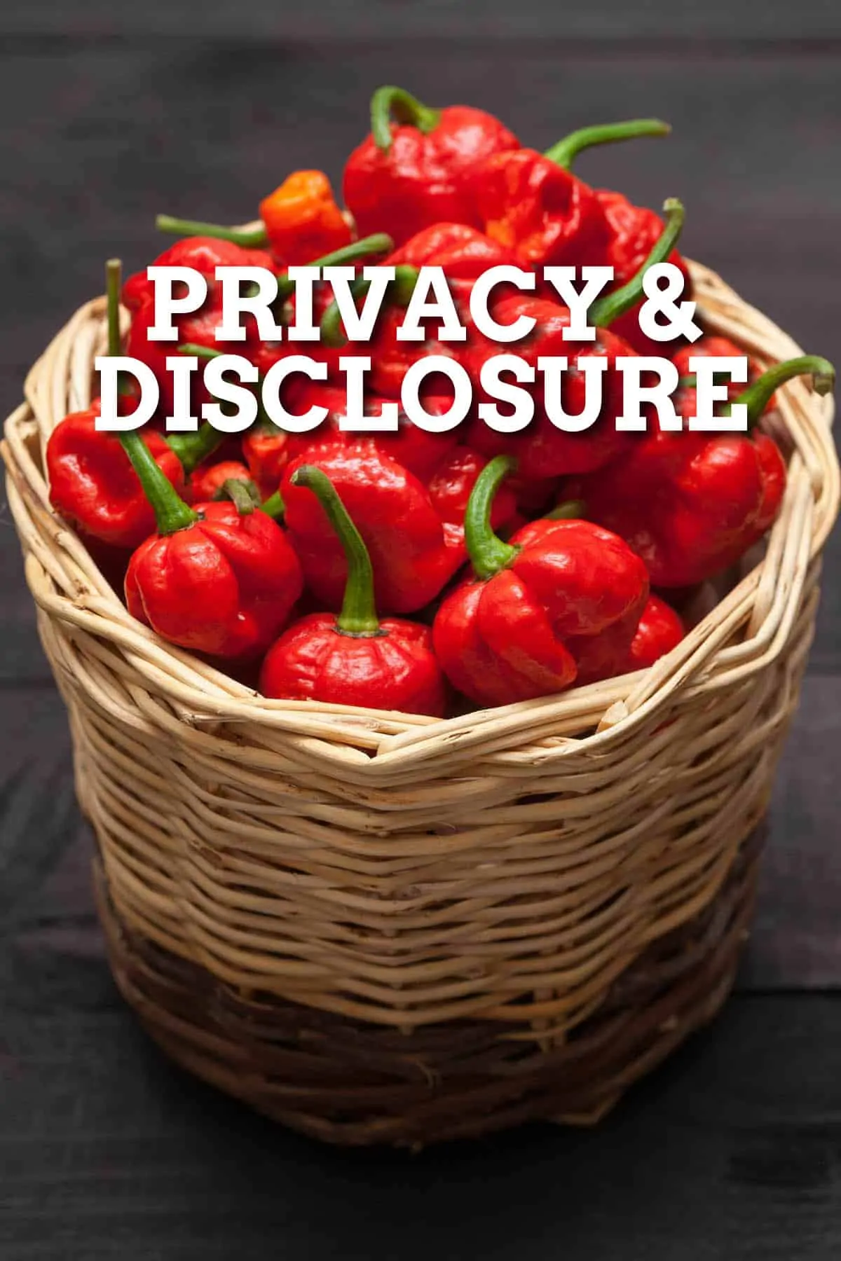 Privacy Policy and Data Protection