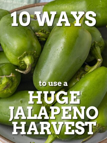 10 Ways to Use a Huge Jalapeno Pepper Harvest