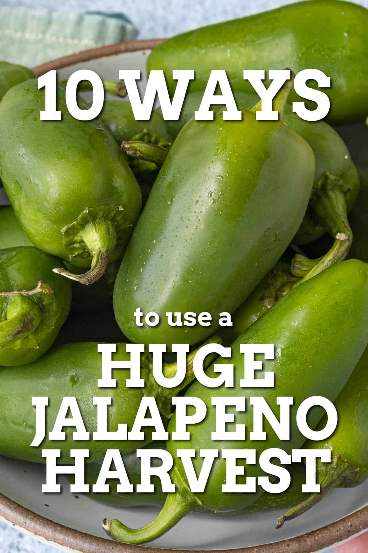 10 Ways to Use a Huge Jalapeno Pepper Harvest