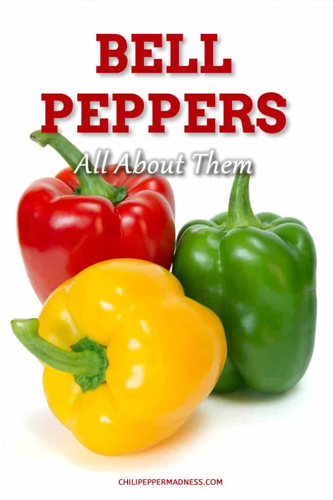 Bell Peppers: Types, Benefits, Nutrition, Recipes of Red Capsicum