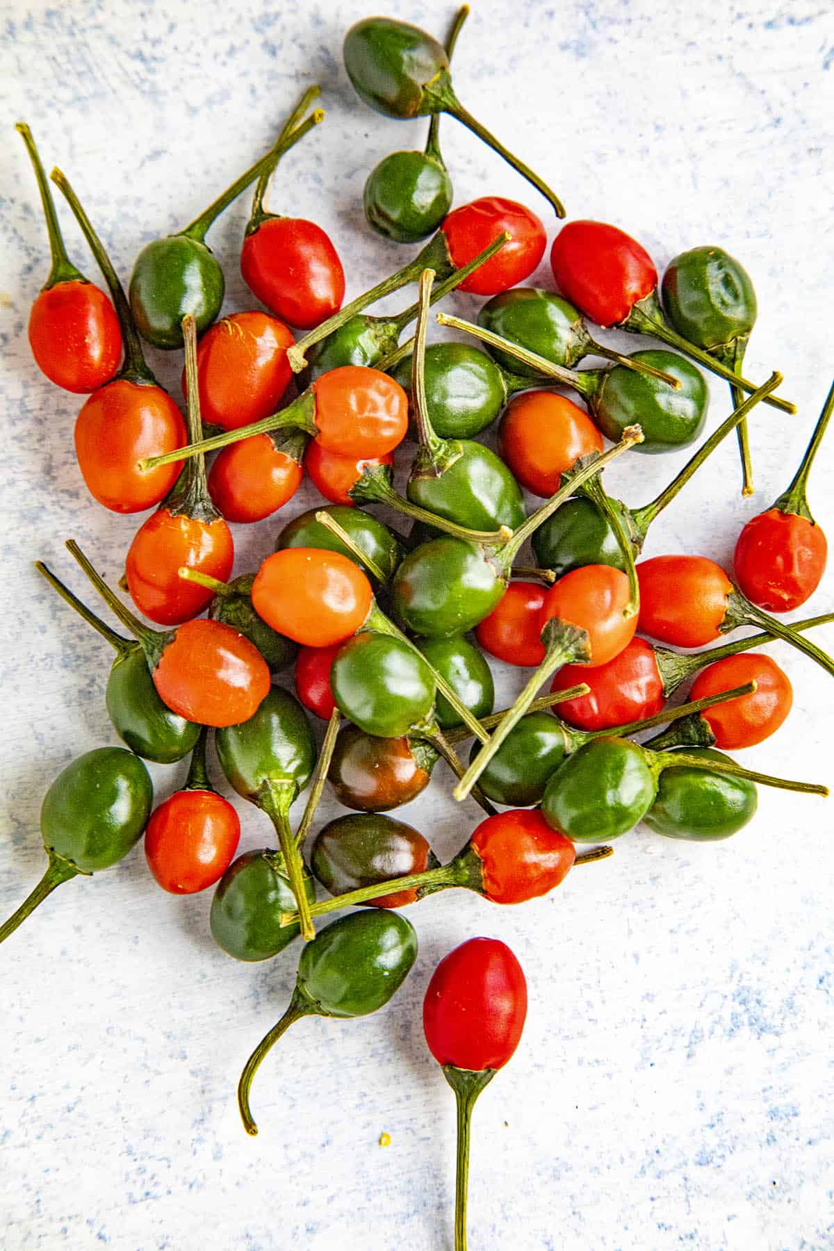 Bird's eye peppers looking awesome.