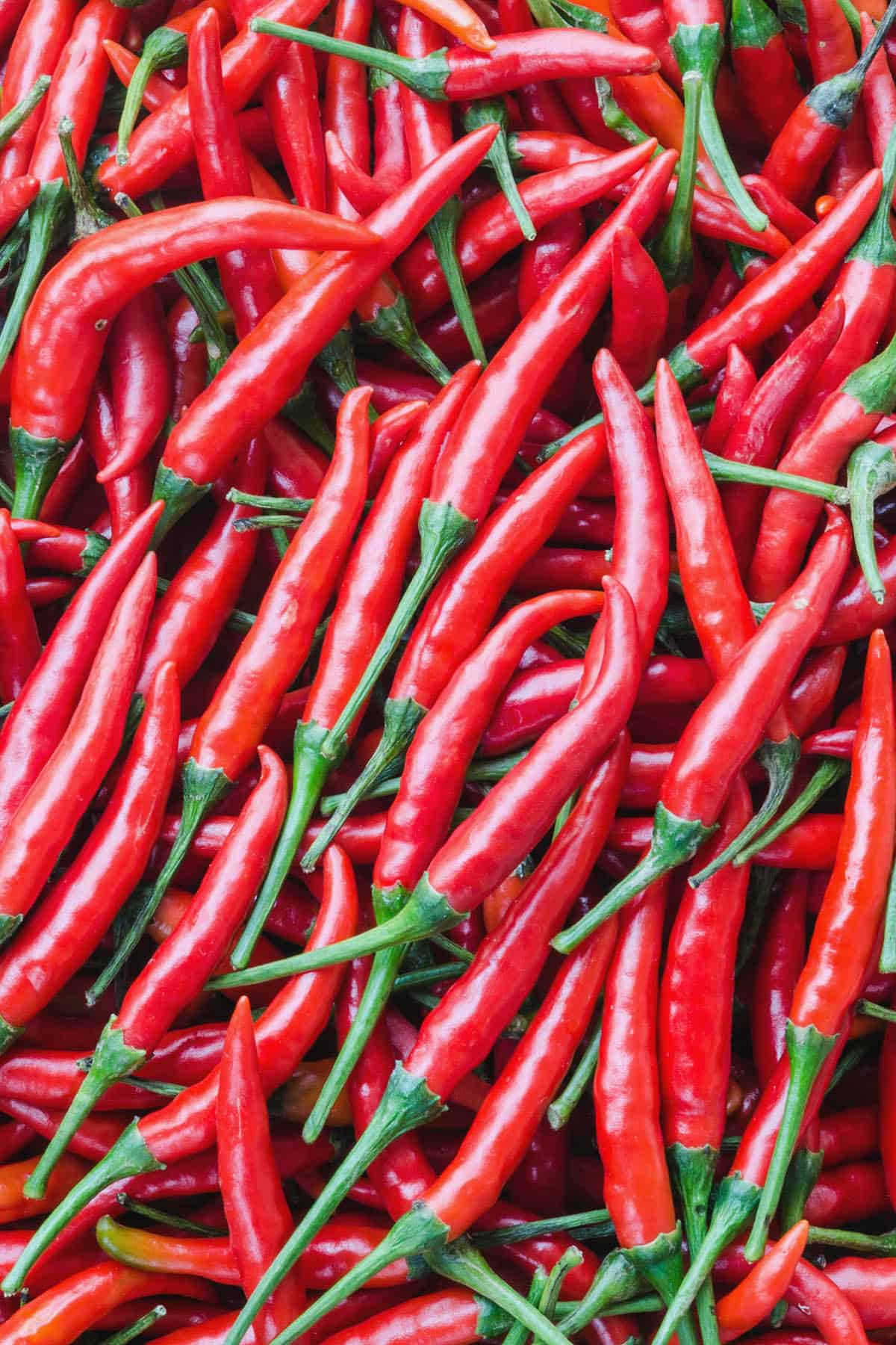 A bunch of Cayenne Peppers