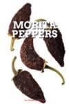 Morita Peppers