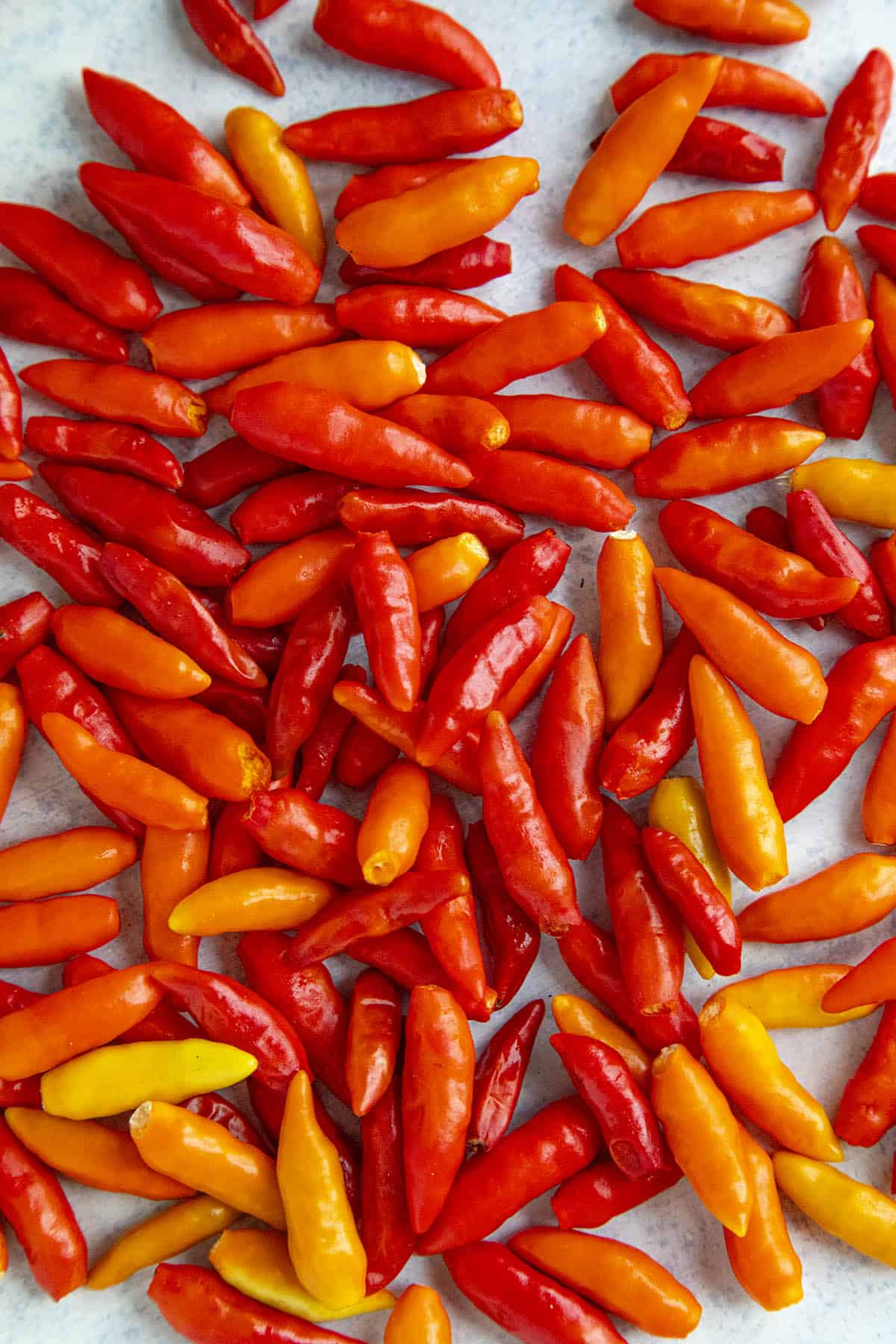 Tabasco Peppers