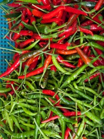 Tabasco Peppers