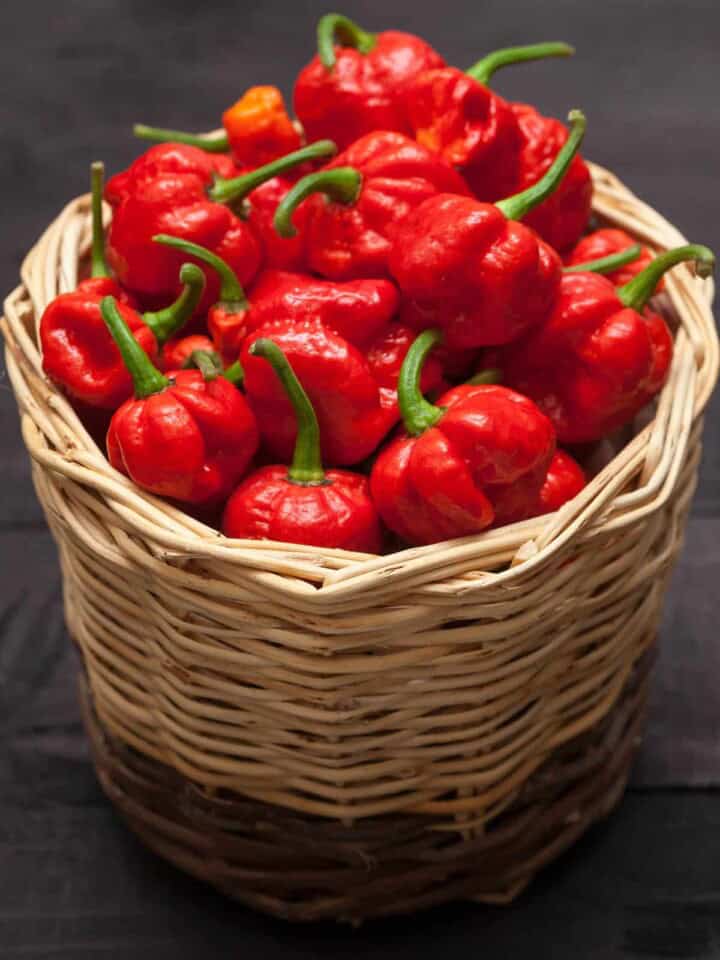 Chili Pepper Types A List of Chili Peppers and their Heat Levels