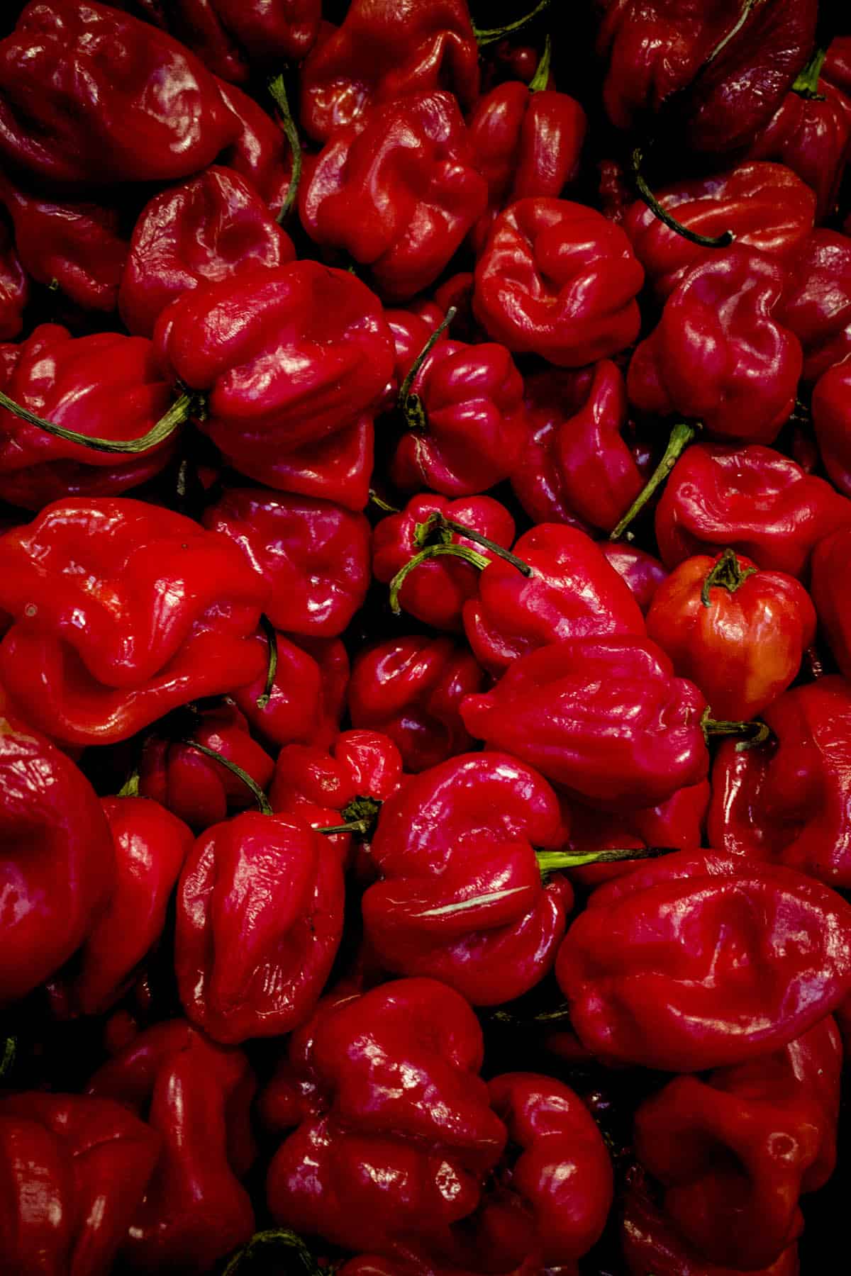 red pepper