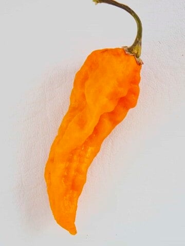 Fatalii Peppers