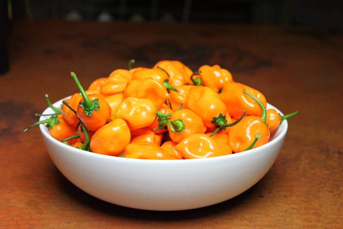 Habanero Peppers