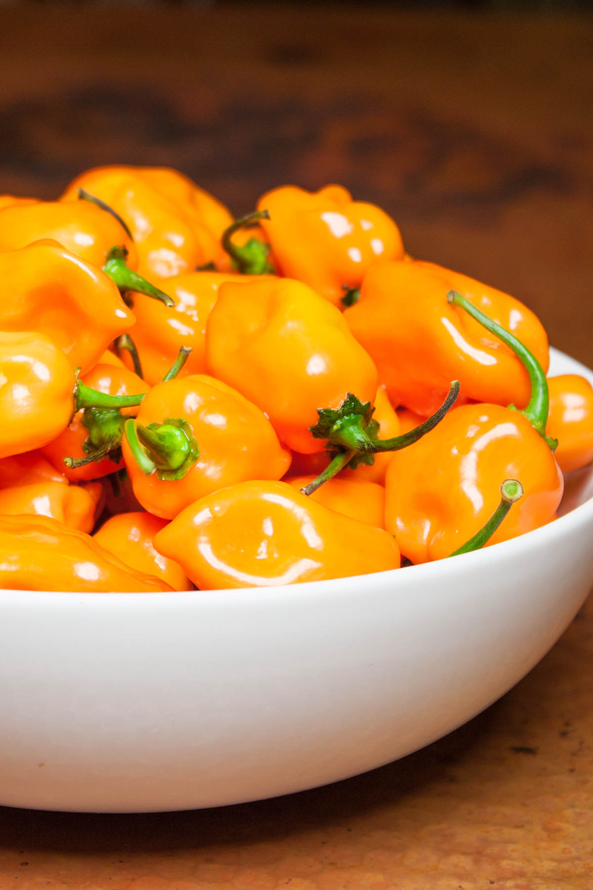 Habanero Peppers, Tiger Paw NR Chili Peppers