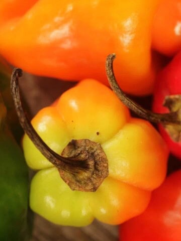 Jamaican Hot Chili Peppers looking amazing.