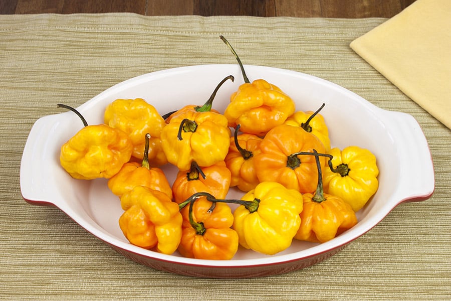 Scotch Bonnet Chili Peppers in a casserole.