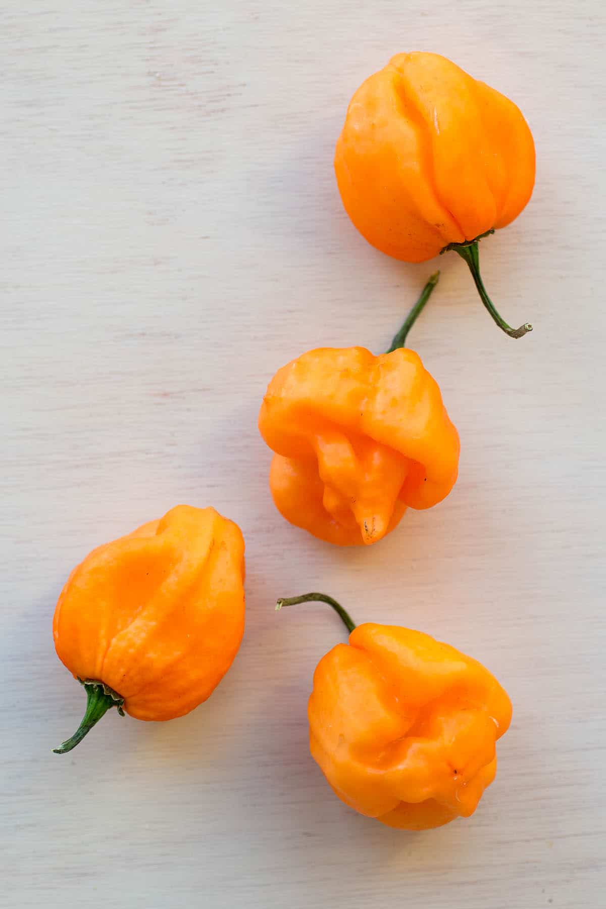 Scotch Bonnet Chili Peppers