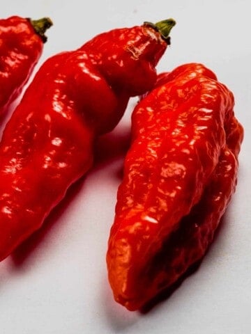 Spanish Naga Peppers