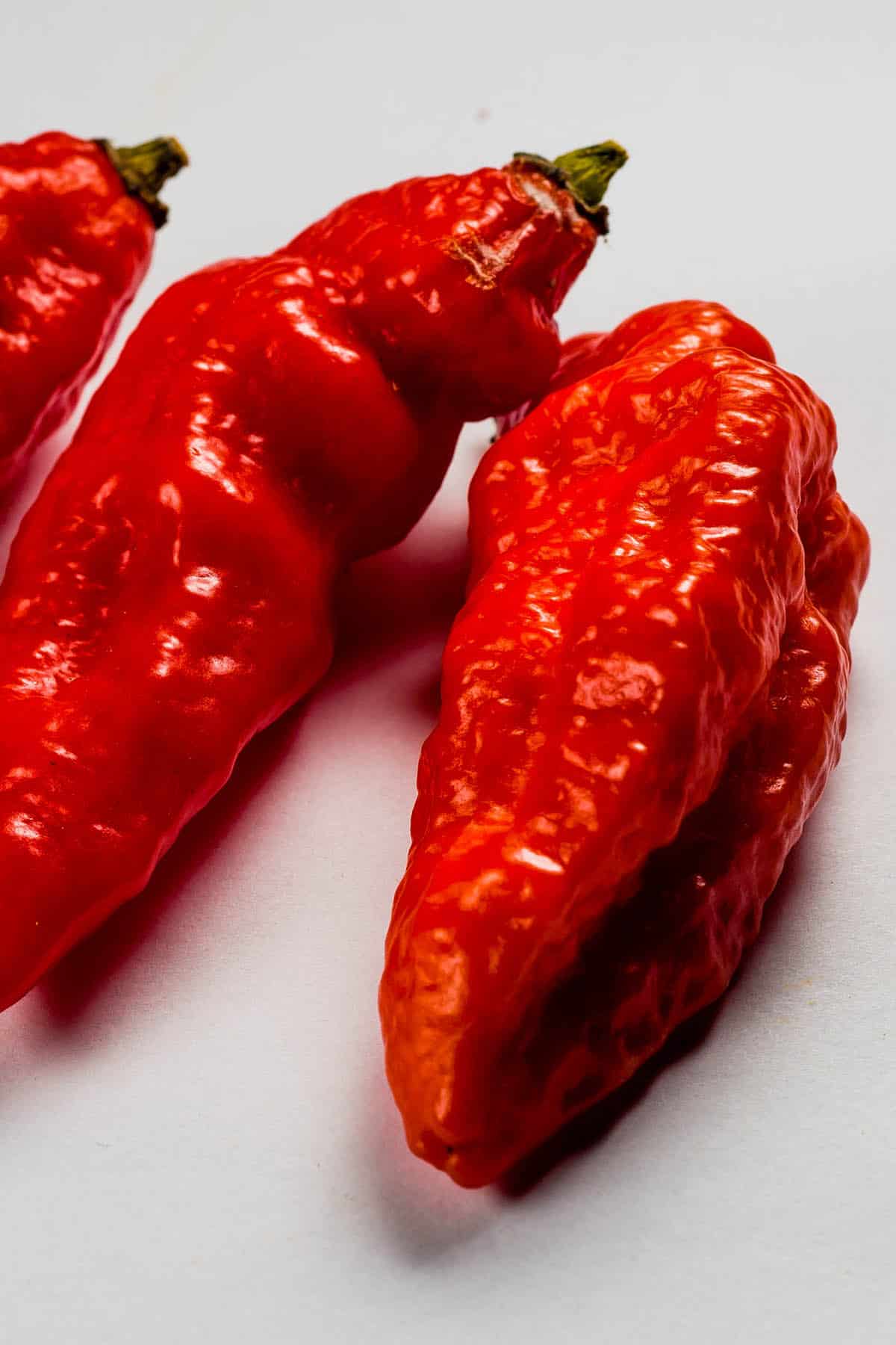 Spanish Naga Peppers