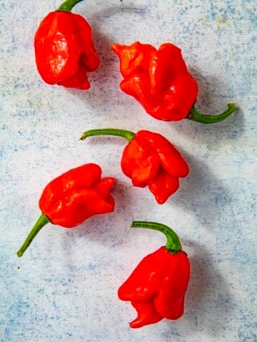 Trinidad Scorpion Peppers