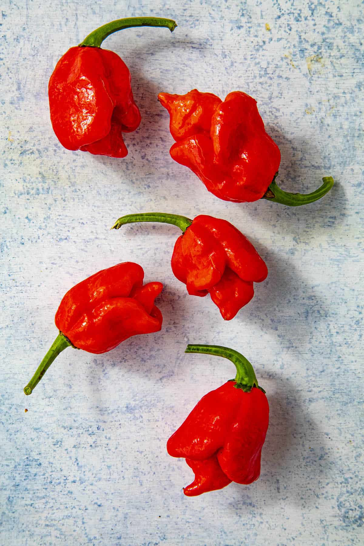 Trinidad Scorpion Peppers