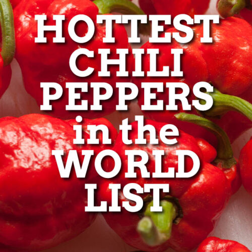 A Current List of the Hottest Chili Peppers in the World