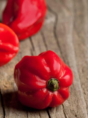 Red Savina Pepper