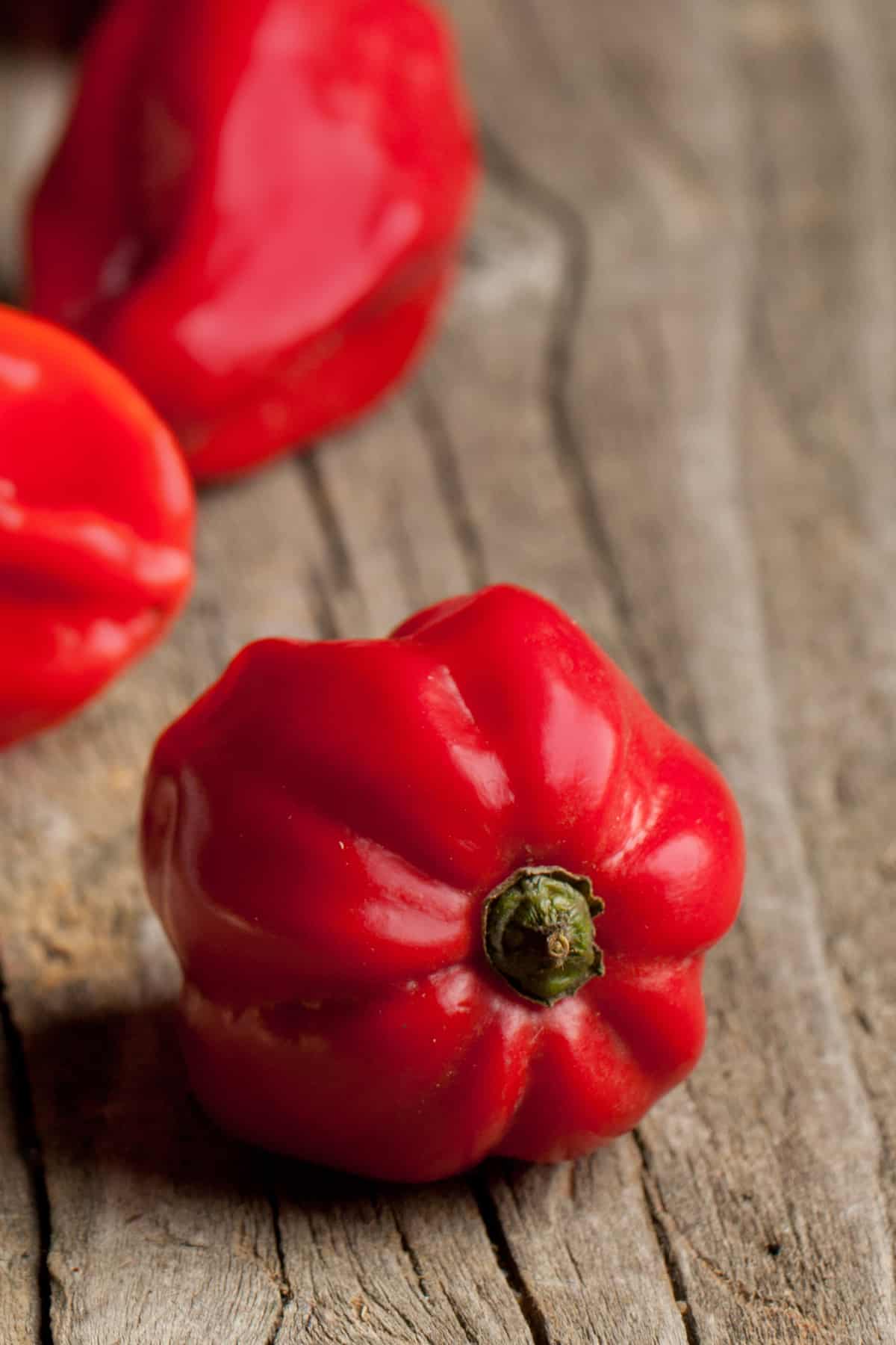 Red Savina Pepper