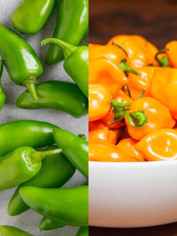 Jalapeno Vs Habanero Peppers