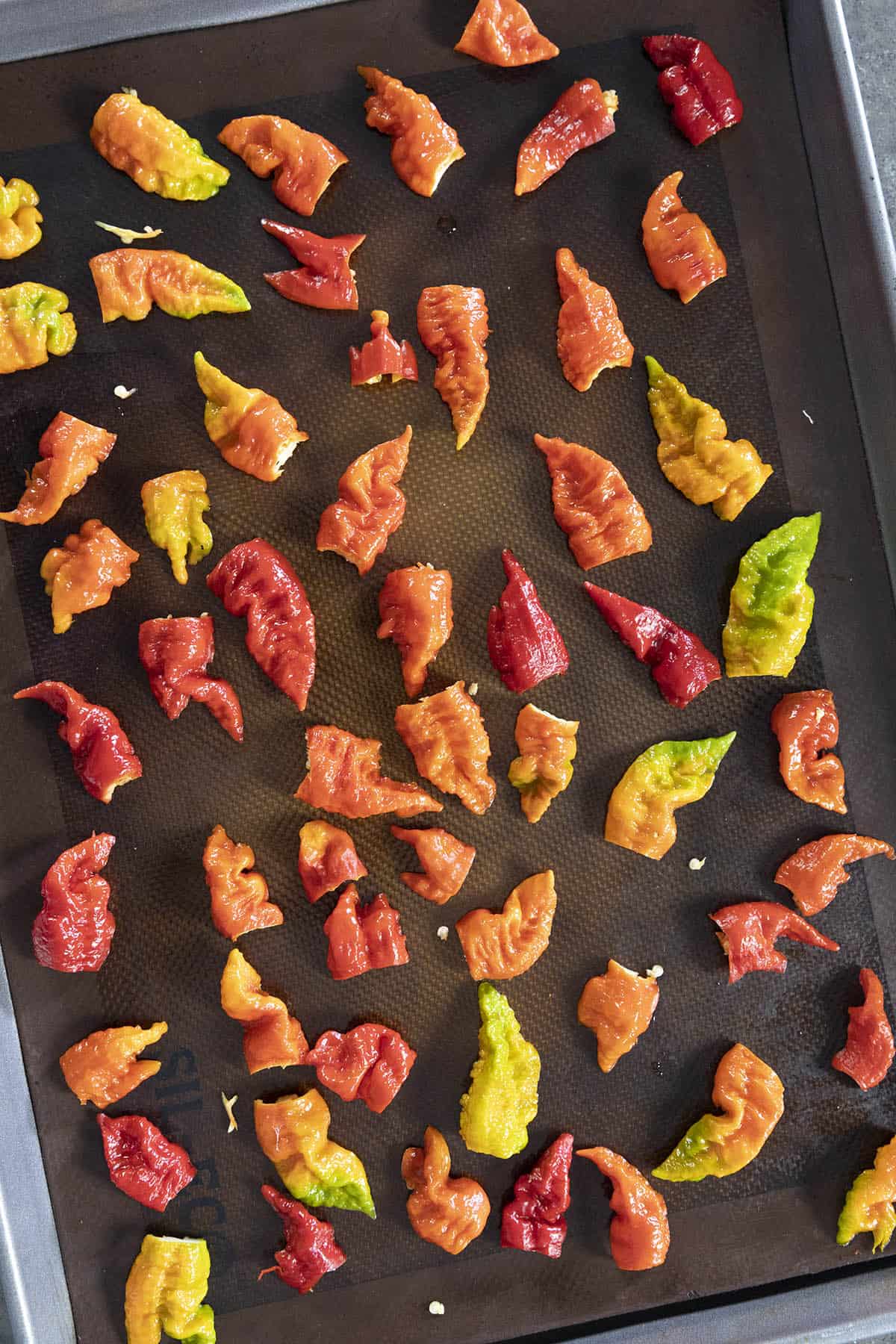 Superhot Hot chili peppers on a sheet, ready to roast