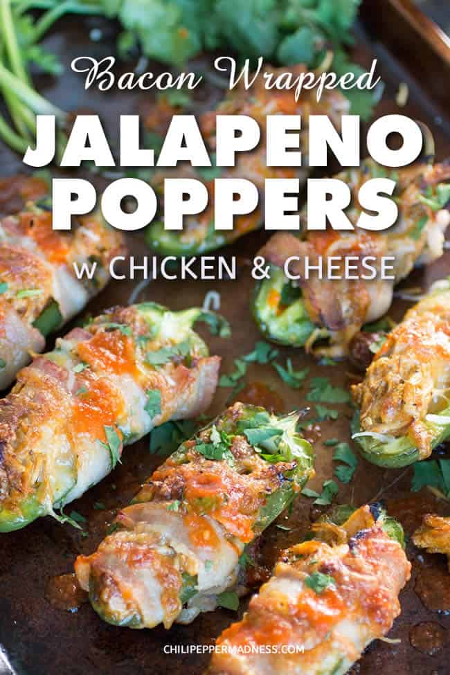 Bacon Wrapped Jalapeno Poppers with Shredded Chicken and Cheese - Jalapeno peppers sliced and stuffed with shredded chicken and cheese, then wrapped in bacon and broiled or grilled to crispy perfection. The ideal party appetizer. Here is the recipe. | ChiliPepperMadness.com #JalapenoPoppers #Poppers #Appetizers #PartyFood #PartyFoodIdeas