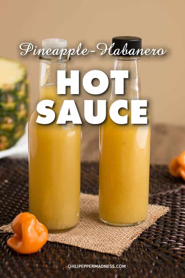 Pineapple-Habanero Hot Sauce Recipe - Make your own hot sauce at home with this quick and easy recipe that incorporates spicy habanero peppers, sweet pineapple and cilantro. Perfect for dashing over meals or spicing up your favorite cocktails. We like it for our Bloody Marys. | ChiliPepperMadness #HotSauce #Pineapple #Habanero