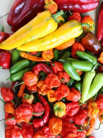 A large collection of chili peppers