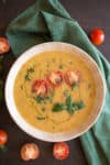 Garden Fresh Chilled Tomato Soup (with Peppers) – Recipe