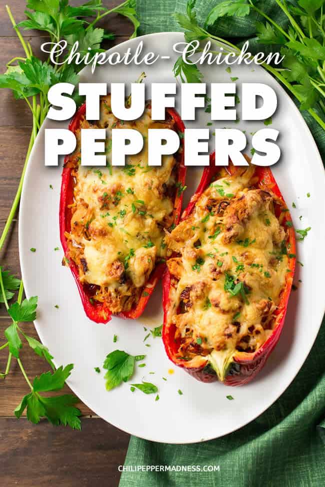Chipotle Chicken Stuffed Peppers - A recipe for large chili peppers sliced in half, stuffed with a slow cooked shredded chicken with chipotles in adobo sauce, then topped with cheese and baked to perfection. It's time for dinner! | ChiliPepperMadness.com #StuffedPeppers #Dinner #SpicyFood