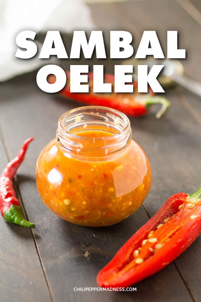 Sambal Oelek - A recipe for homemade Sambal Oelek, the classic chili paste used for cooking, made with a variety of ground chili peppers, vinegar and salt. It is ideal for seasoning noodle dishes and enhancing the flavors of sauces. | ChiliPepperMadness.com #HotSauce #Sambal #Spicy