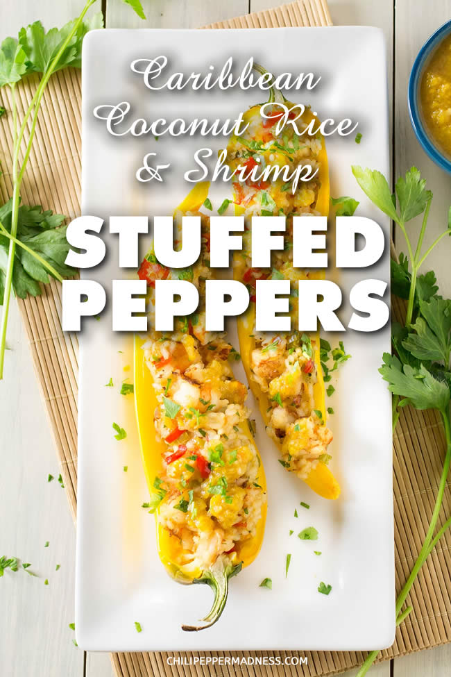 A recipe for large and vibrant sweet chili peppers stuffed with coconut rice, spicy chili-rubbed shrimp and Caribbean sauce with mango and habanero. Such a delicious meal. | ChiliPepperMadness.com #StuffedPeppers #Caribbean #Dinner #DinnerIdeas #Shrimp