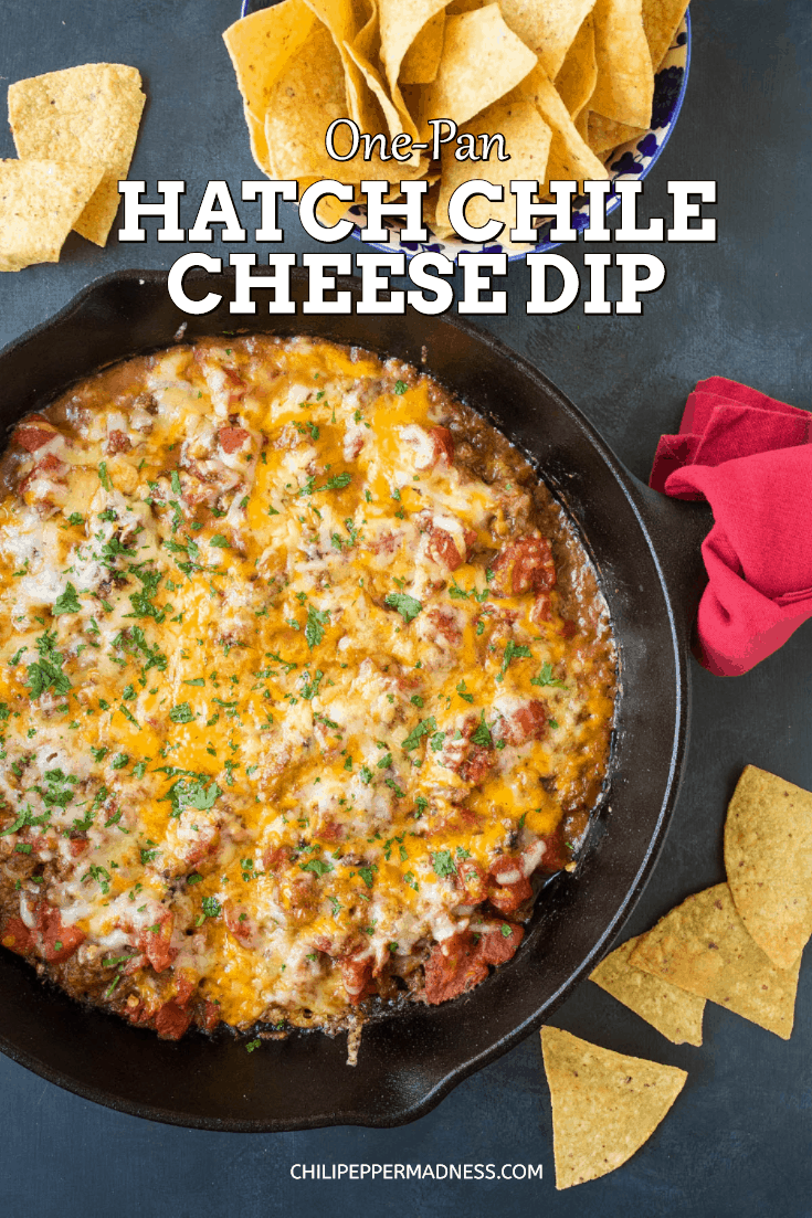 One-Pan Hatch Chili Cheese Dip - A zesty, super cheesy dip recipe made with roasted Hatch chili peppers, cheddar and Monterrey Jack cheeses and plenty of seasoning. Bust out the chips! It's party time! #cheesedip #hatchchiles