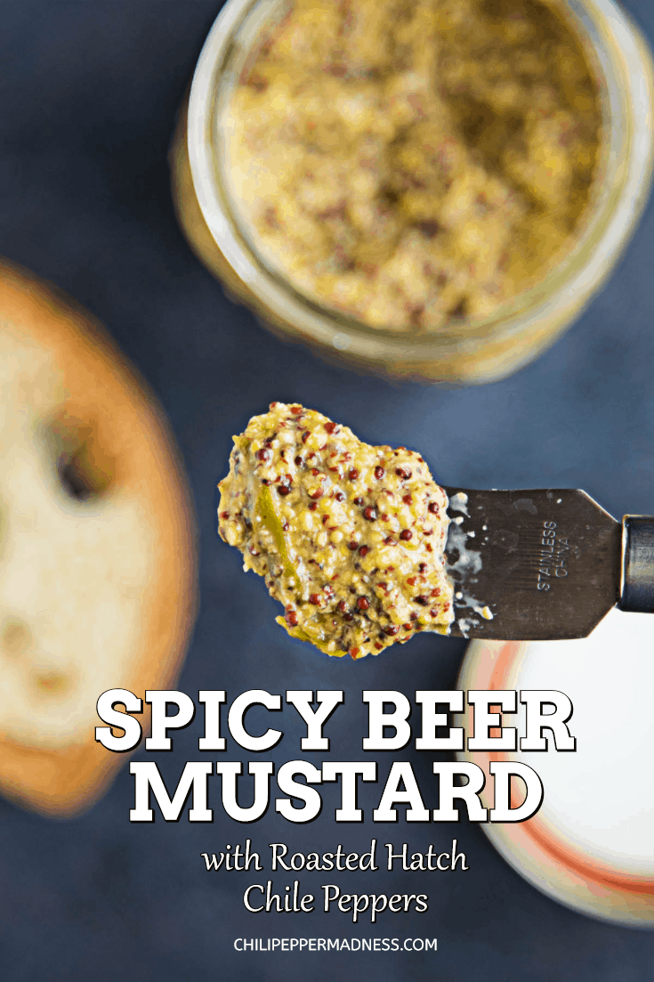 Roasted Hatch Chile-Beer Mustard – A recipe for homemade spicy beer mustard made with black and yellow mustard seeds and roasted Hatch chile peppers. You\'ll never go back to plain mustard again. #HatchPeppers #Mustard #Condiment