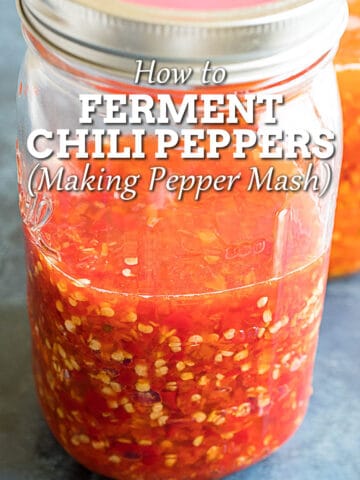 How to Ferment Peppers - Pepper Mash Recipe