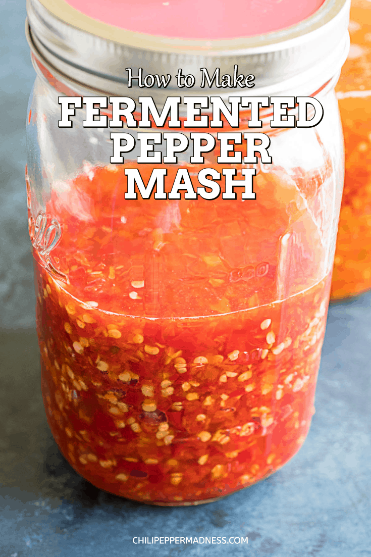 How to Make Fermented Pepper Mash - Learn how to make fermented pepper mash at home so you can make your own homemade hot sauces and help preserve your abundant chili pepper harvest. Fermenting chili peppers is a fun, great way to preserve them, and essential for making hot sauces. | ChiliPepperMadness.com #Fermenting #Fermented #HotSauce #MakingHotSauce