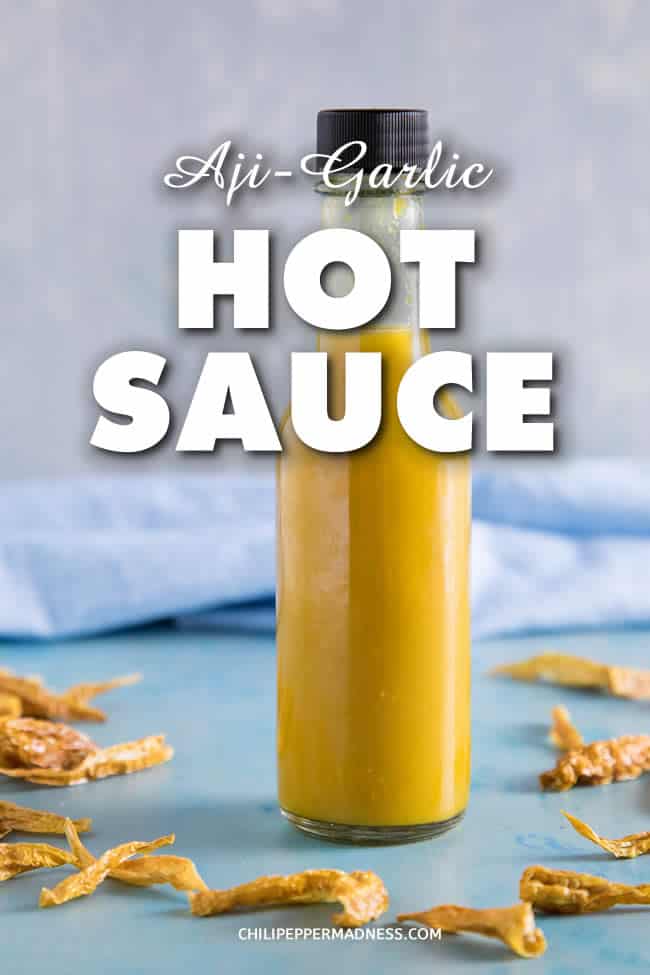 Fermented Aji-Garlic Hot Sauce - A homemade hot sauce recipe made with garden grown aji peppers that have been fermented for 6 weeks, then processed with fresh garlic, lime juice and vinegar. Simple and delicious. | ChiliPepperMadness.com #HotSauce #Fermenting #Fermented #Sauce #AjiPeppers #Condiment #SpicyFood