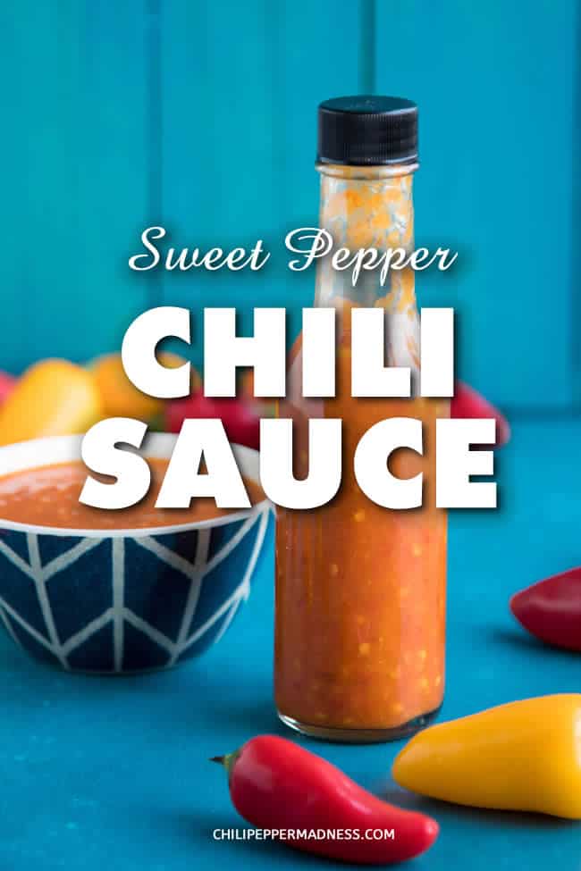 Sweet Pepper Chili Sauce Recipe - recipe for homemade chili sauce made with fermented garden-grown sweet peppers. It\'s like a mild, richly flavored hot sauce. Dash it over everything! | ChiliPepperMadness.com #HotSauce #ChiliSauce #MakingHotSauce #ChiliPeppers
