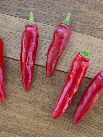 Moshi Chili Pepper.