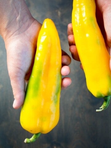 Holding a Corno di Toro Giallo Pepper.