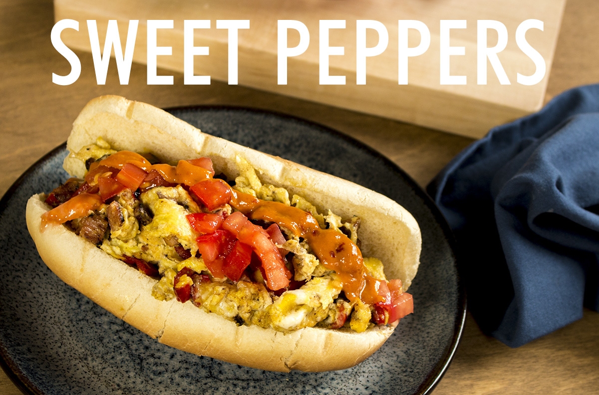 Bold and Spicy Sandwich Recipes from Chili Pepper Madness