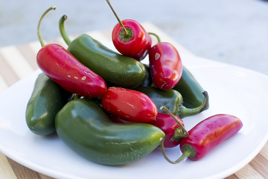 Jalapeno Peppers Chili Pepper Madness
