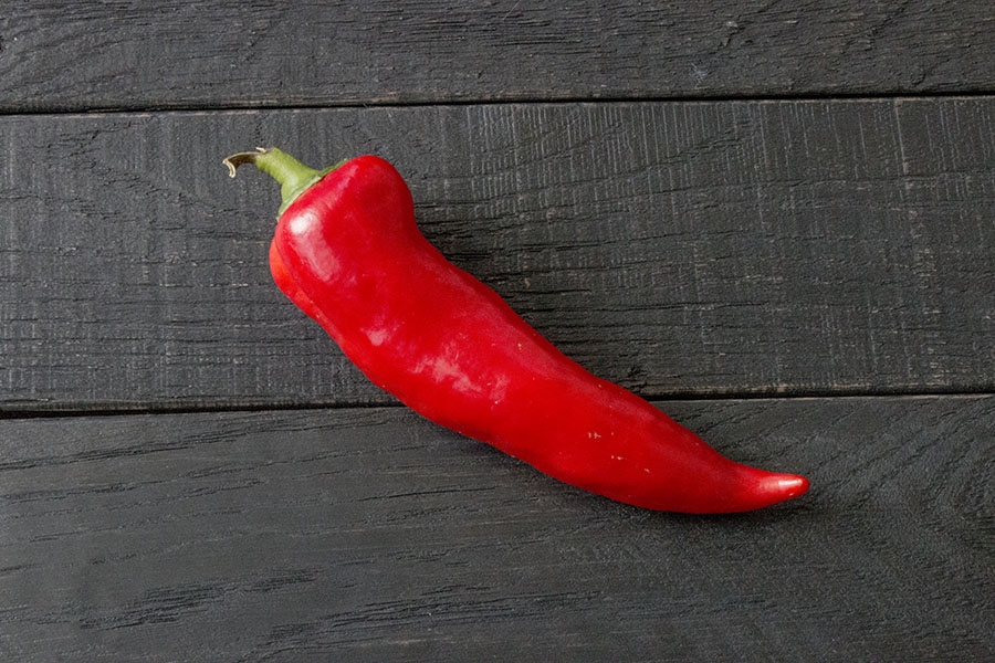 Bell Peppers: All About Them - Chili Pepper Madness