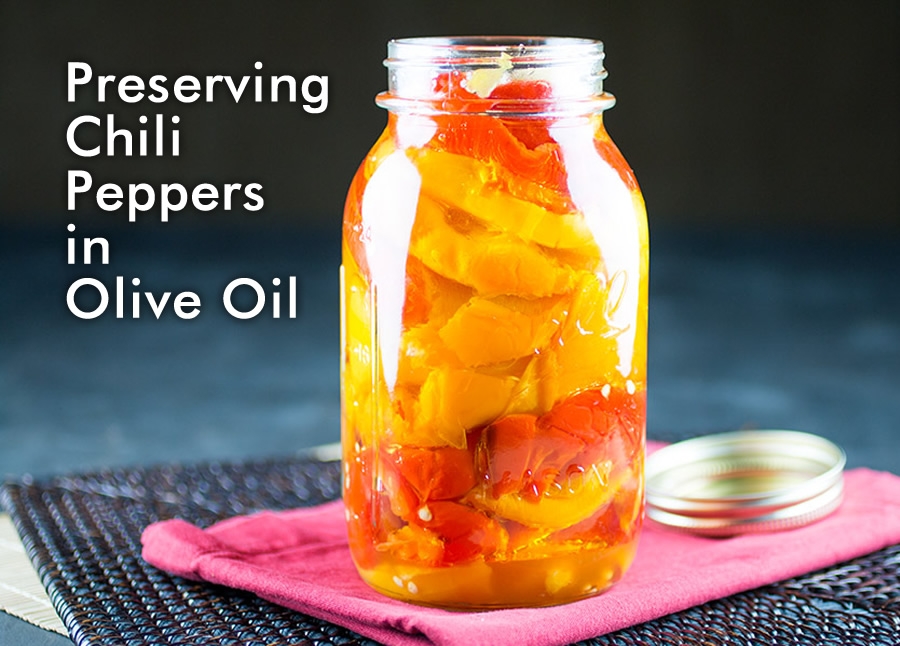 Preserving Chili Peppers In Olive Oil Chili Pepper Madness