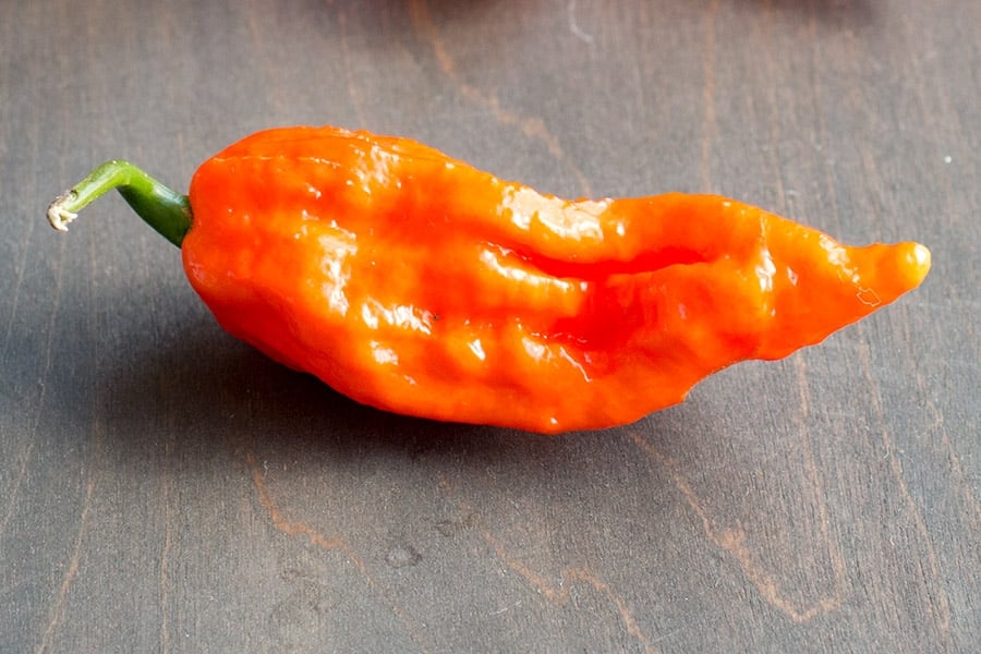 Bhut Jolokia (or Ghost Pepper).