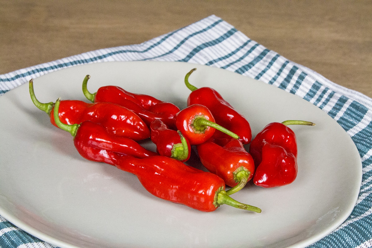 Piment de Bresse Pepper.