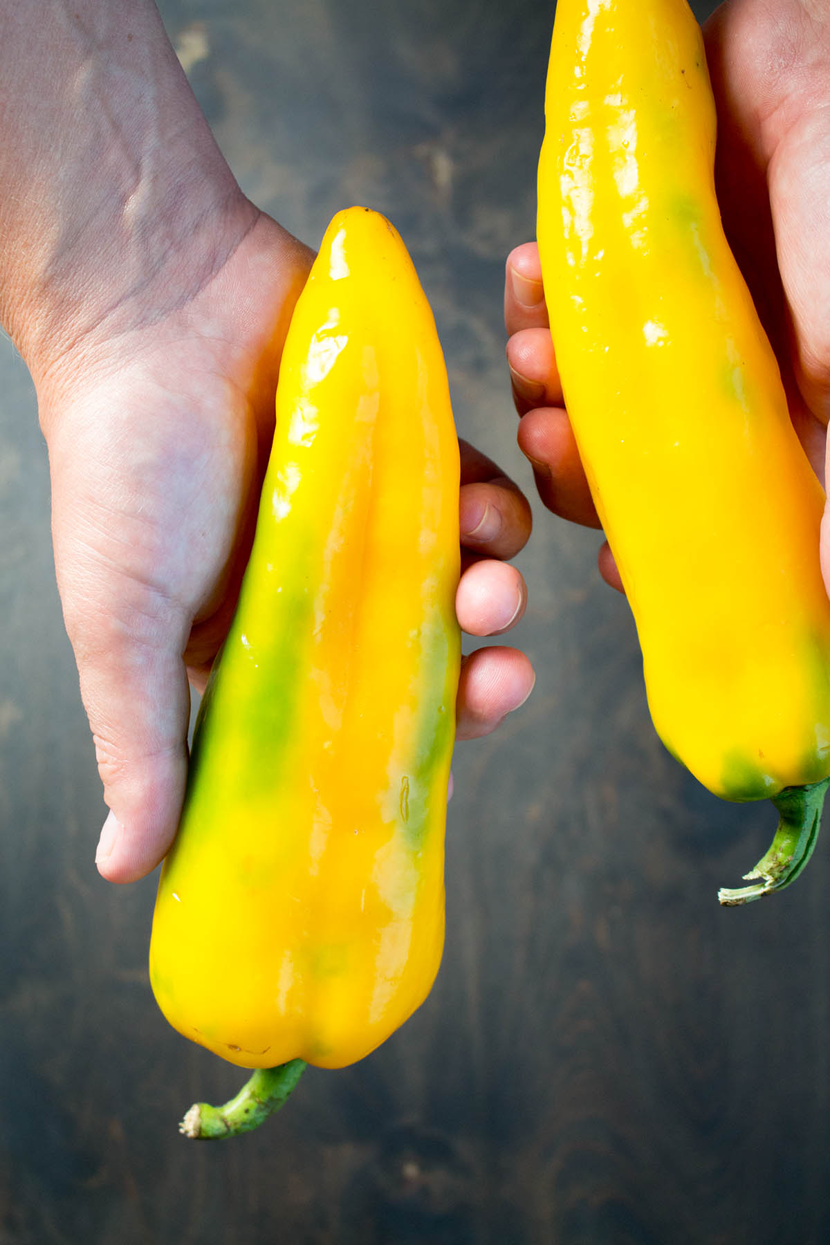 Holding two Corno di Toro Chili Peppers