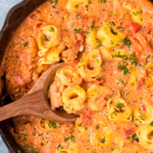 Creamy Tortellini Pasta Recipe with Fire Roasted Tomatoes